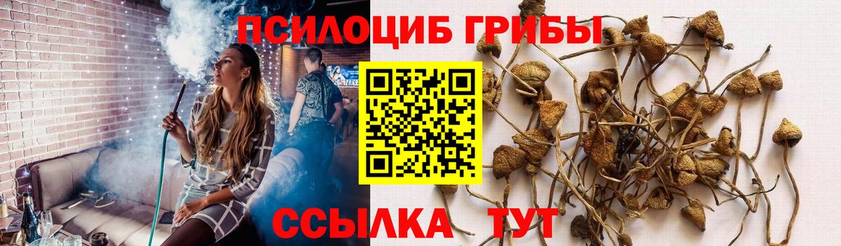 Галлюциногенные грибы MAGIC MUSHROOMS  Вход с VPN  Чехов  Псилоцибиновые грибы мухоморы 